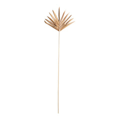 DRIED NATURAL BURI PALM HANDCRAFTED LADY FINGER PICK
