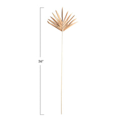 DRIED NATURAL BURI PALM HANDCRAFTED LADY FINGER PICK